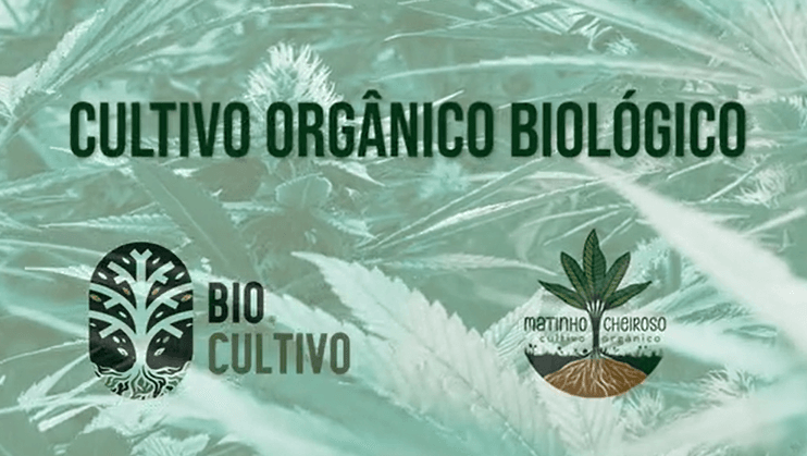 Curso Cultivo Orgânico Biológico